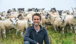 Winter’s coming: forage supply and health planning for your flock